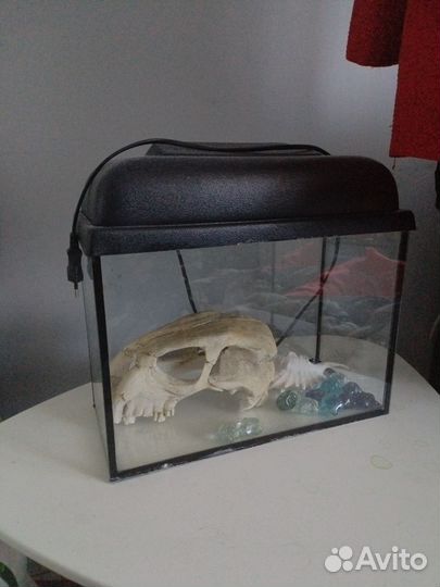 Аквариум с прилегающими аксессуарами