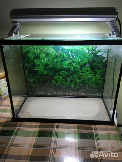Аквариум 25 литров