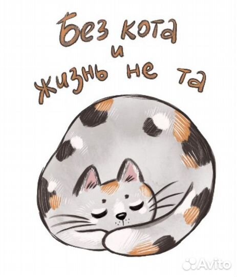 Кот сфинкс браш