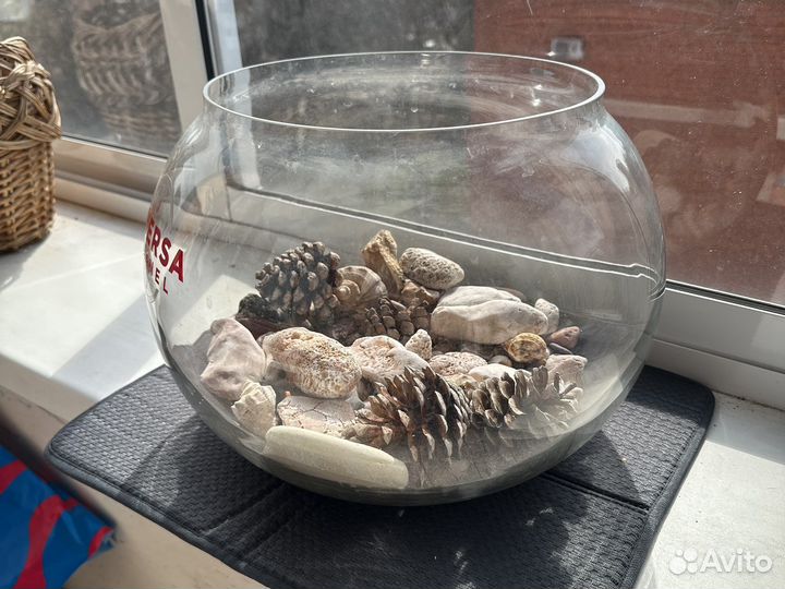 Ваза аквариум 25*27 флорариум декор стекло