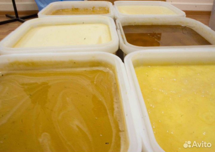 2024 Мед натуральный из Алтая оптом