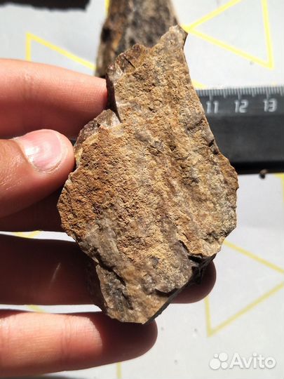 Редчайшая древесина