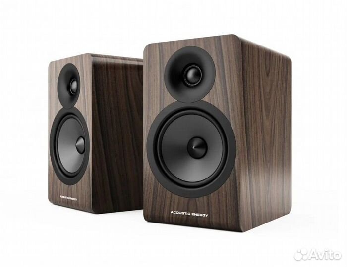 Acoustic energy AE100-2