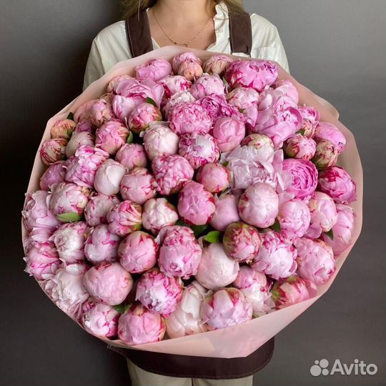 Букет из 101 пионы / Букет Пионов С доставкой