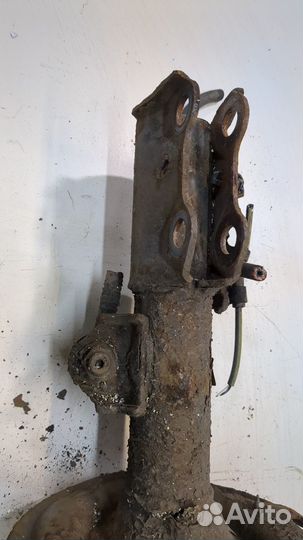 Амортизатор подвески правый передний Toyota Verso, 2010