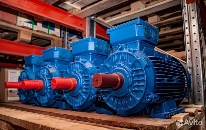 Электродвигатель аир 250 м6 (55 кВт 1000 об/мин)