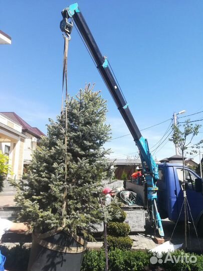 Манипулятор 6метров