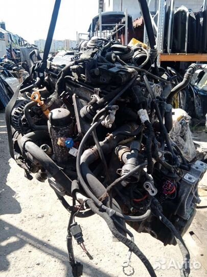 Двигатель Volkswagen Golf 4 (1997 - 2006) AXR