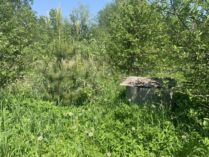 Участок 7,6 сот. (СНТ, ДНП)