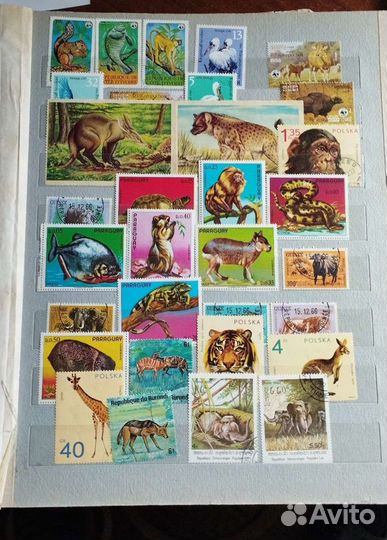 Альбом марок СССР