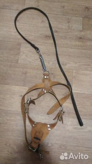 Шлейка для собаки