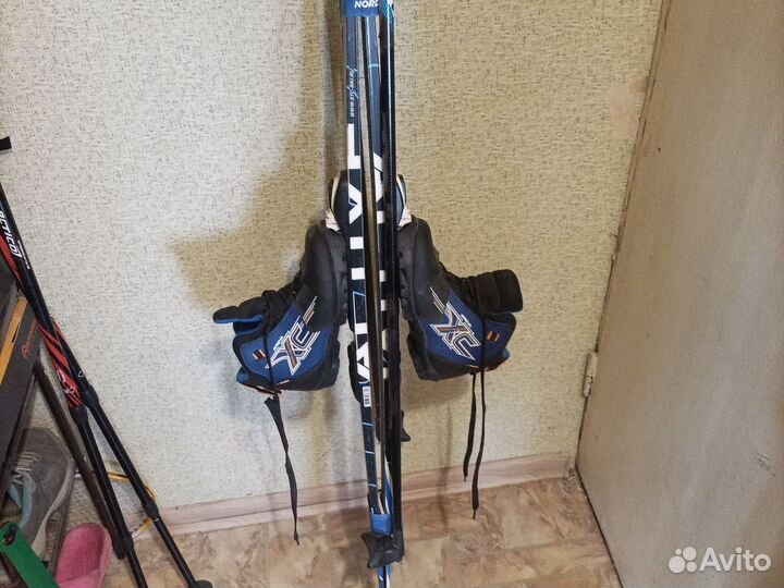 Спортивные товары