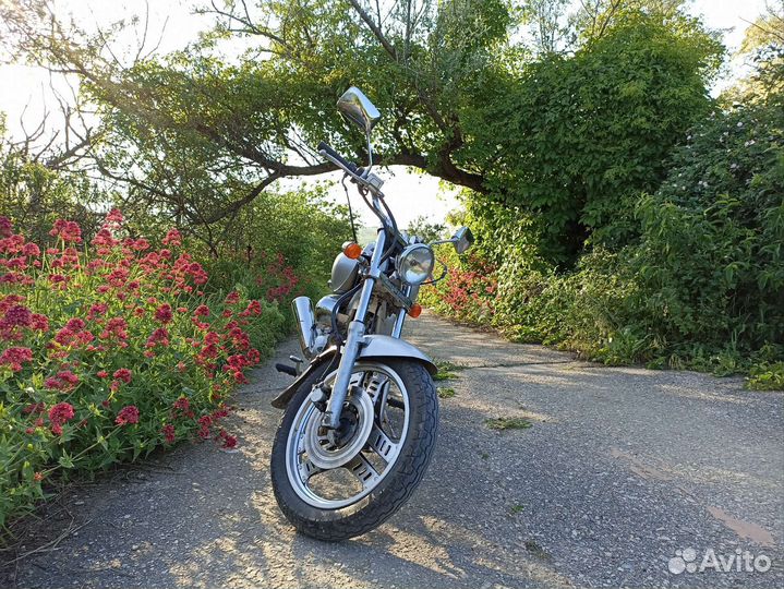 Honda Magna 50
