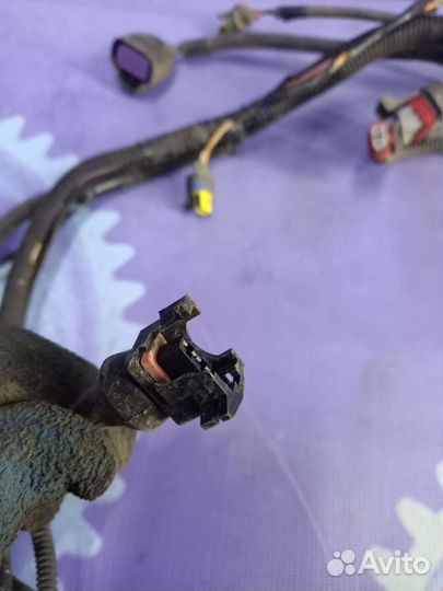 Жгут проводов двигателя/эбу 2190/Granta