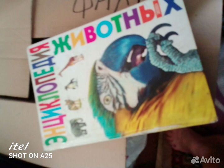 Детская литература