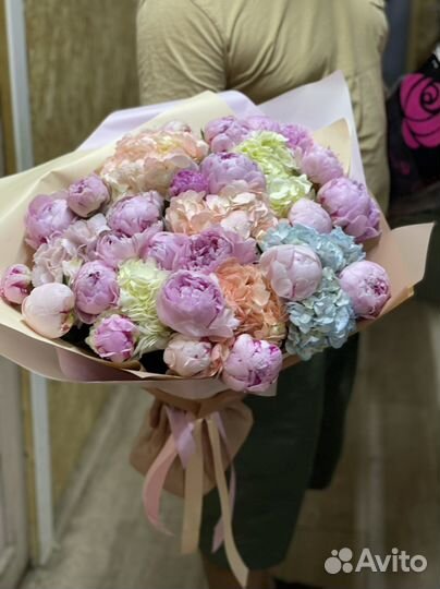 Гортензия пион