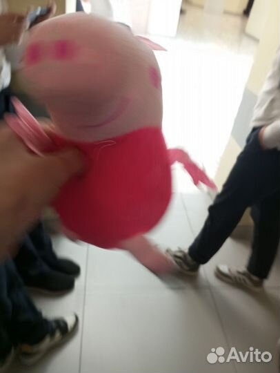 Свинка пепа редкий фид