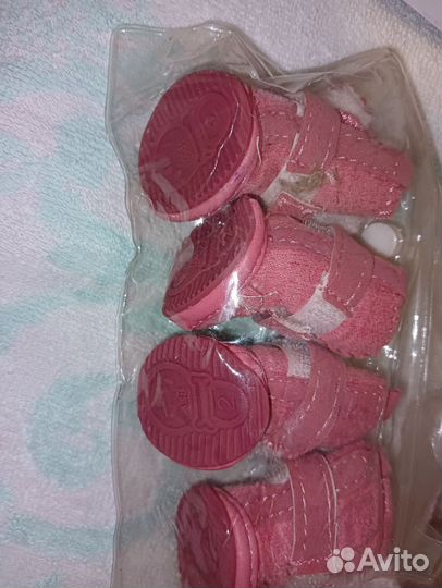 Обувь для маленьких собак