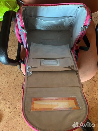 Рюкзак школьный hummingbird