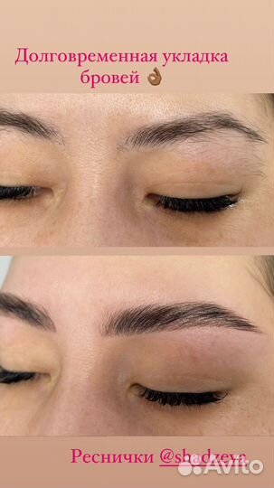 Мастер бровист