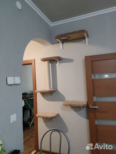 Когтеточка настенная Моя Котя 