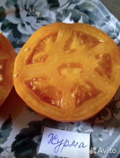 Семена коллекционных томатов