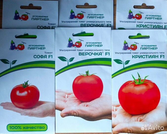 2025 Рассада : томатов