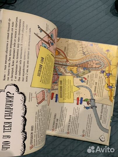 Книга Большое путешествие по телу человека