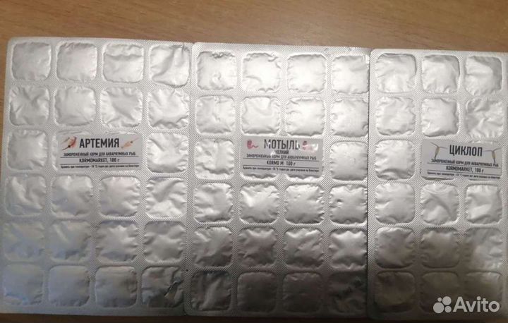 Живой корм для рыб