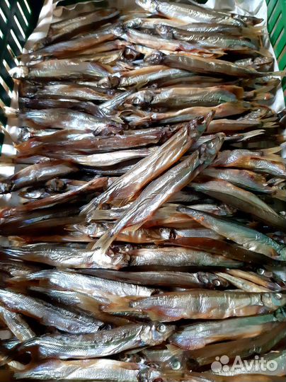 Форель,мойва,скумбрия холодного копчения