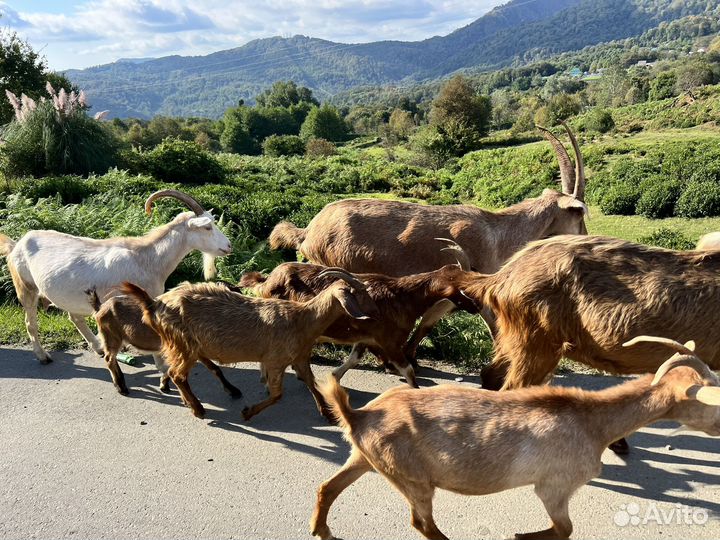 Экстрим тур на внедорожнике. 3 маршрута на выбор