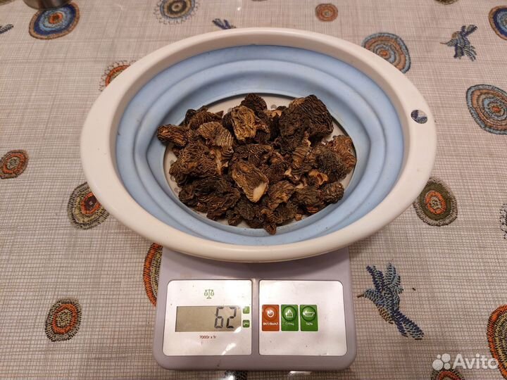 Сморчки сушеные грибы