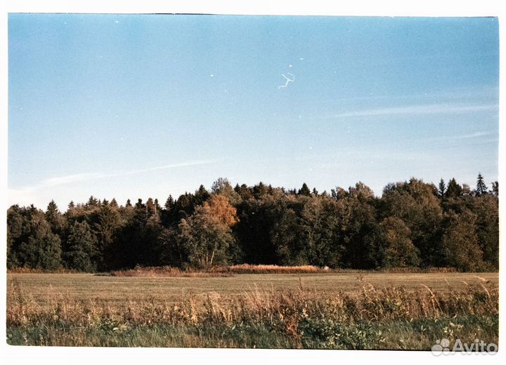 Фотоплёнка / киноплёнка Kodak Vision 250D 36к 2шт