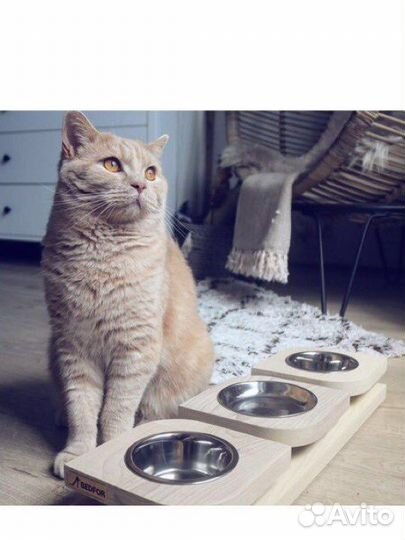 Миска Bedfor для кошек и собак Bloom Trio