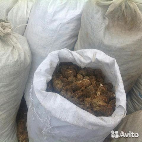 Навоз конский, перегной