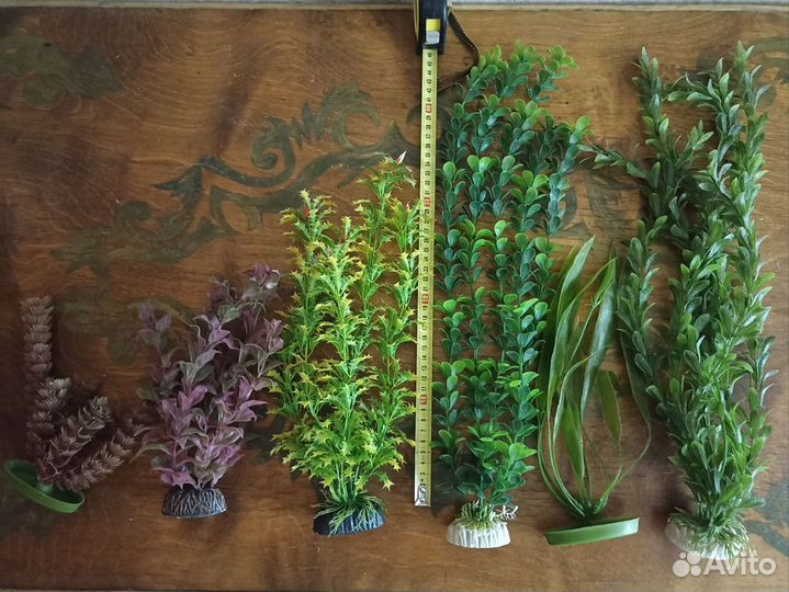 Растения искусственные