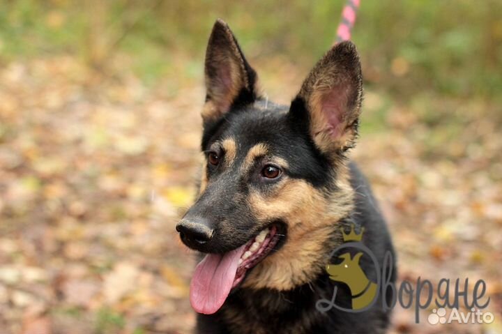 Прекрасная Фиджи