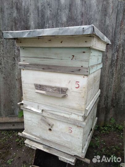 Пчеловодство оборудование б/у
