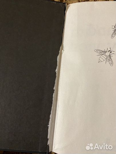 Книга Milk and honey