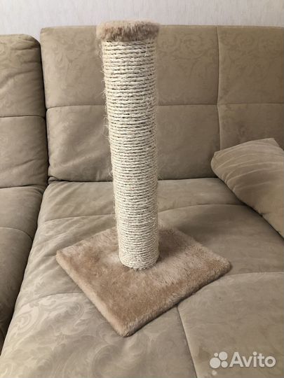 Когтеточка