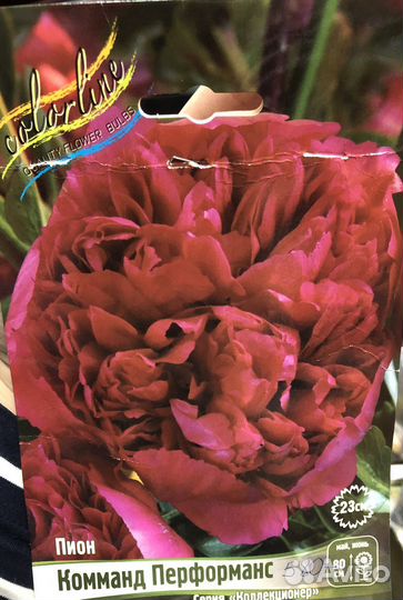 Пионы саженцы