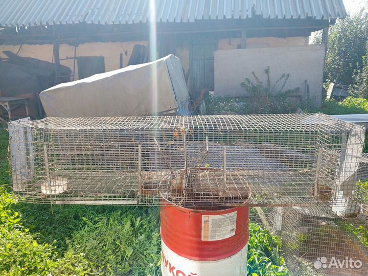 Клетки для кроликов