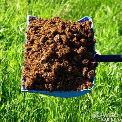 Конский навоз