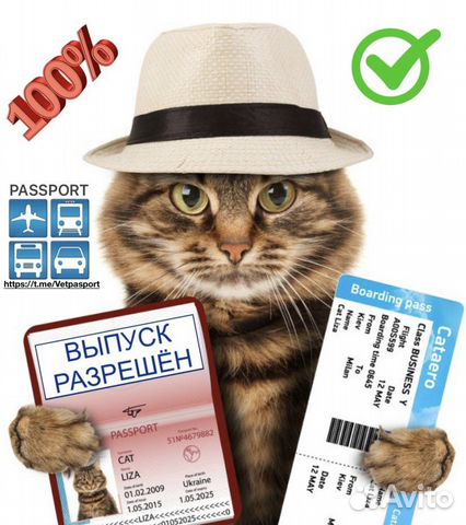 Ветеринарный паспорт с прививками объявление продам
