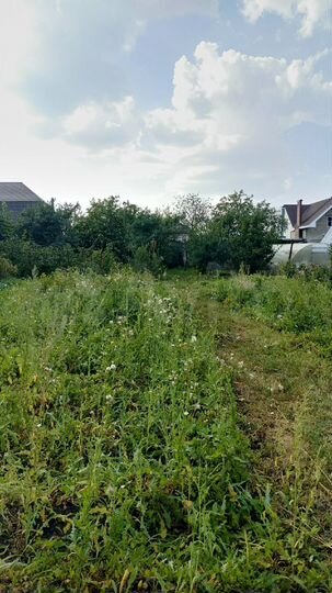 Дом 35,8 м² на участке 13,1 сот.