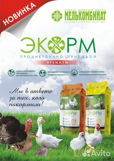 Корма для животных и птицы