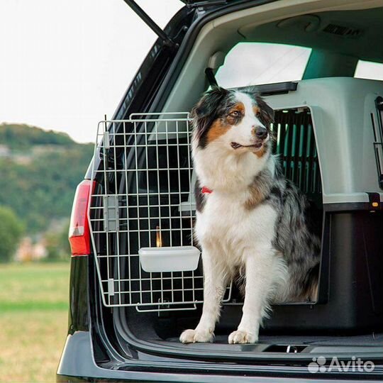 Поездки Москва-Краснодар Доставка Посылок Животных