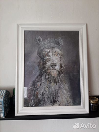 Интерьерный Постер Ирландский волкодав