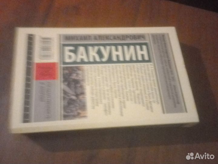 Бакунин книга