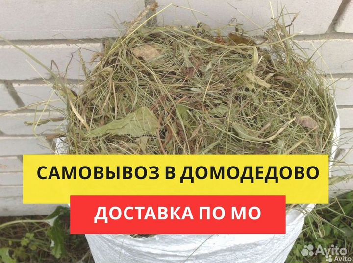 Сено, солома